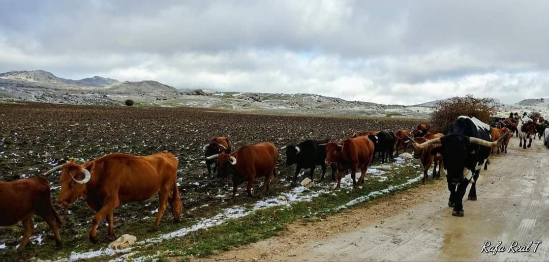 Alojamiento Rural El Penon De Hornos Exterior photo